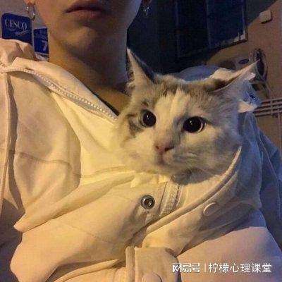 剑神道最新版下载